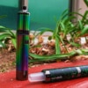 dry herb vape pen